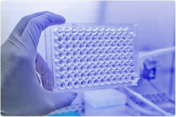 cell cytotoxicity assay