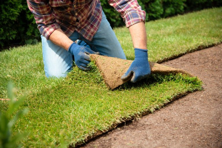 Essential Guide to Types of Turf and Laying Turf for Your Garden